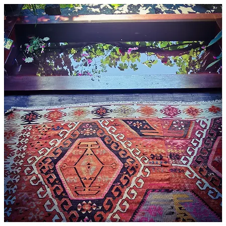 Sans Murs Dans La Nature Σπίτι διακοπών *