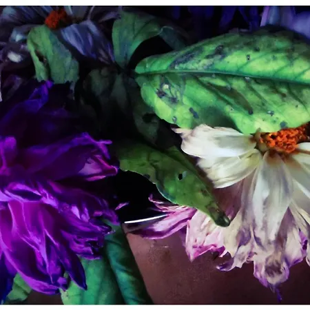 Sans Murs Dans La Nature Σπίτι διακοπών *