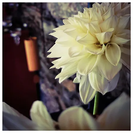 Sans Murs Dans La Nature * San-Martino-di-Lota