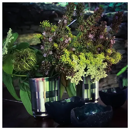 Sans Murs Dans La Nature