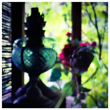 Sans Murs Dans La Nature