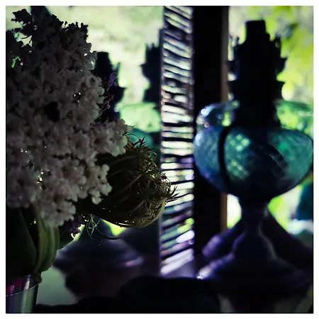 Sans Murs Dans La Nature