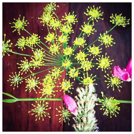 Sans Murs Dans La Nature Σπίτι διακοπών