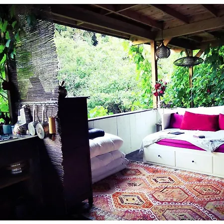 Sans Murs Dans La Nature * San-Martino-di-Lota