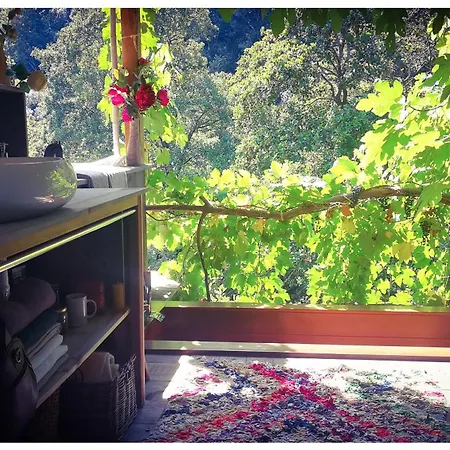 Σπίτι διακοπών Sans Murs Dans La Nature