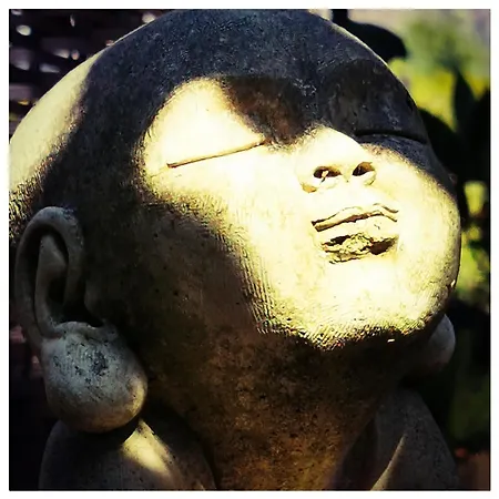 Holiday home Sans Murs Dans La Nature *