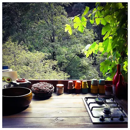 Sans Murs Dans La Nature Holiday home San-Martino-di-Lota