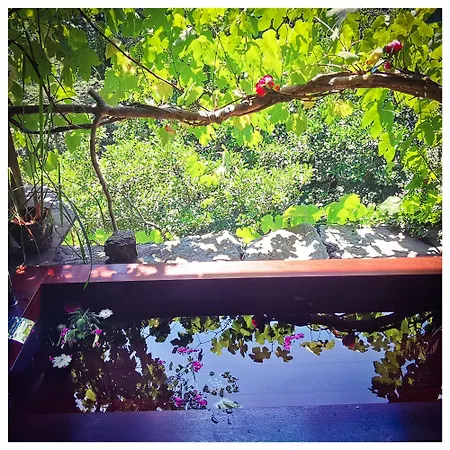 Sans Murs Dans La Nature Holiday home *