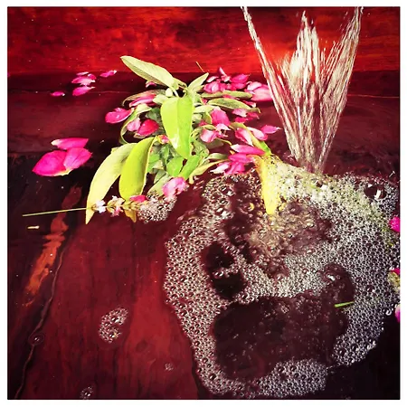 Sans Murs Dans La Nature San-Martino-di-Lota