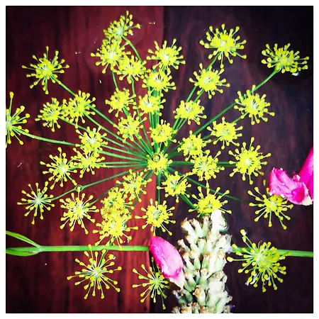 Sans Murs Dans La Nature * San-Martino-di-Lota