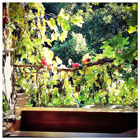 Holiday home Sans Murs Dans La Nature