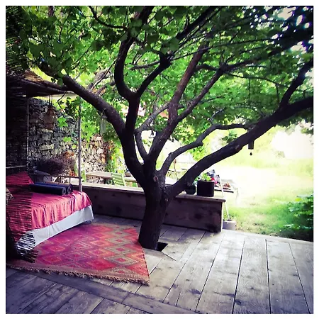 Sans Murs Dans La Nature