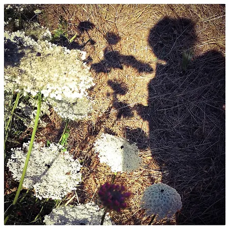 Sans Murs Dans La Nature * San-Martino-di-Lota