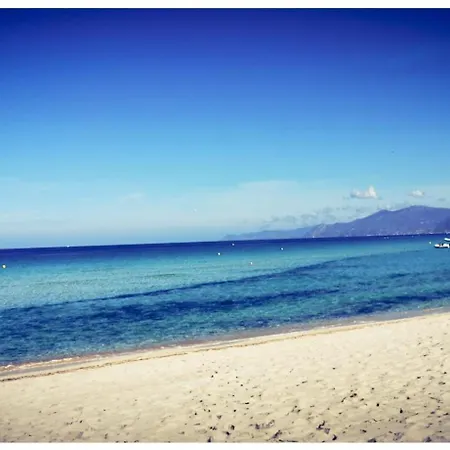 Sans Murs Dans La Nature *