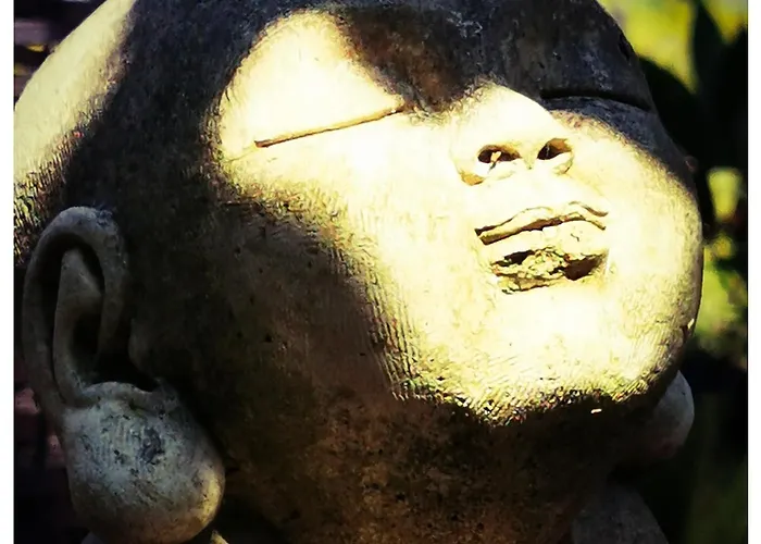 Hébergement de vacances Sans Murs Dans La Nature *