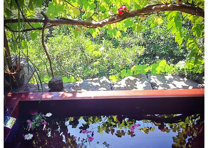 Sans Murs Dans La Nature Hébergement de vacances *