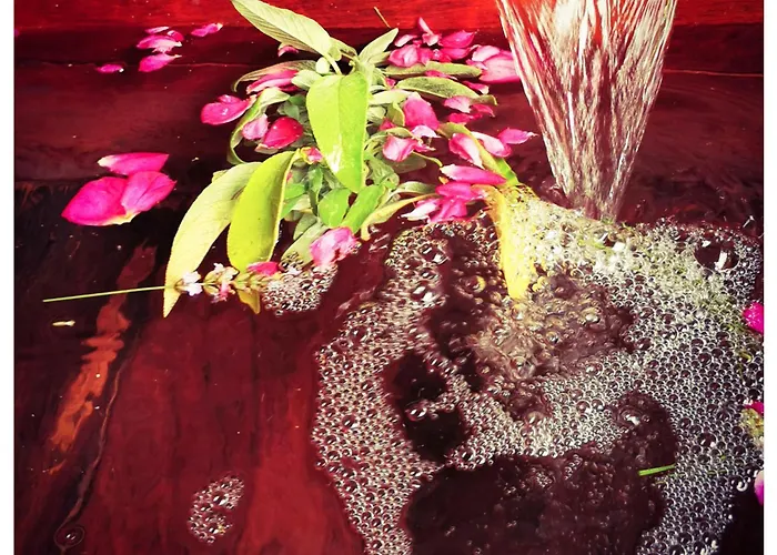 Sans Murs Dans La Nature San-Martino-di-Lota