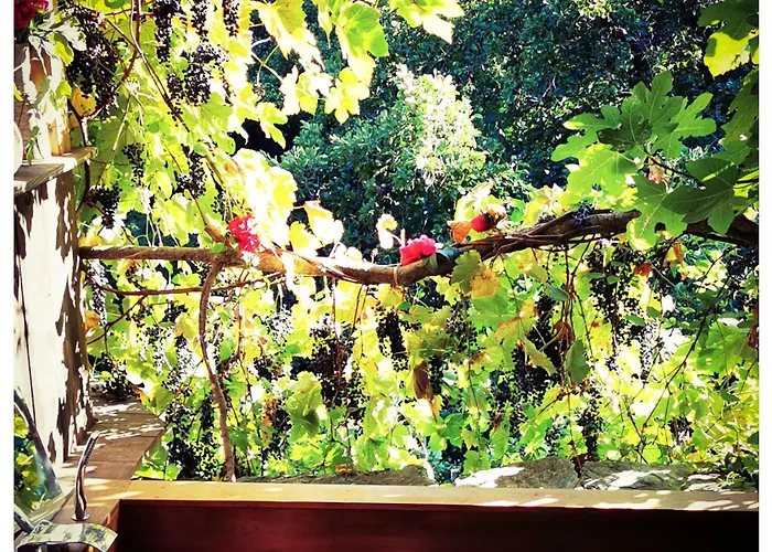 Hébergement de vacances Sans Murs Dans La Nature