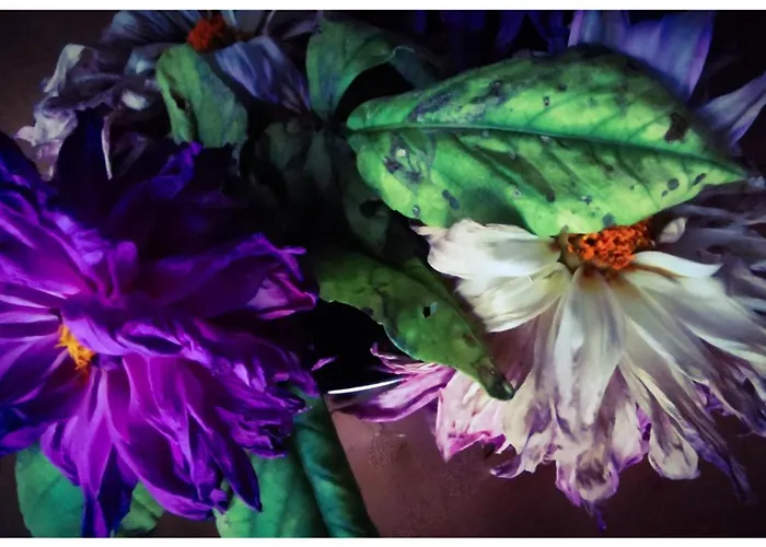 Sans Murs Dans La Nature Hébergement de vacances *