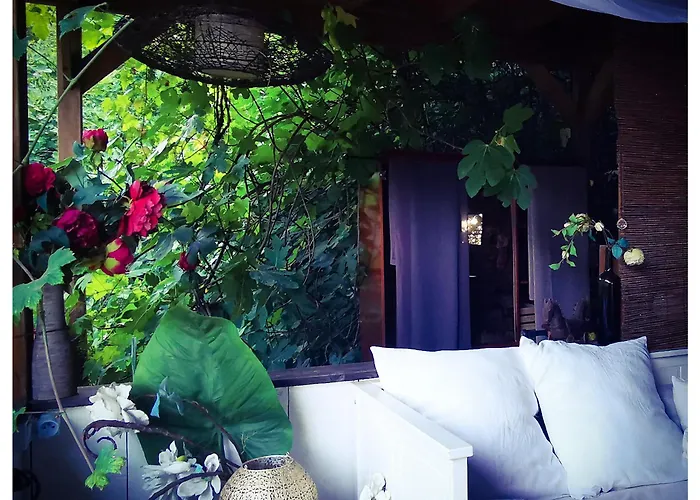 Sans Murs Dans La Nature