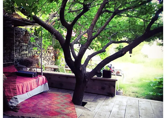 Sans Murs Dans La Nature