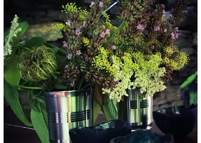 Sans Murs Dans La Nature