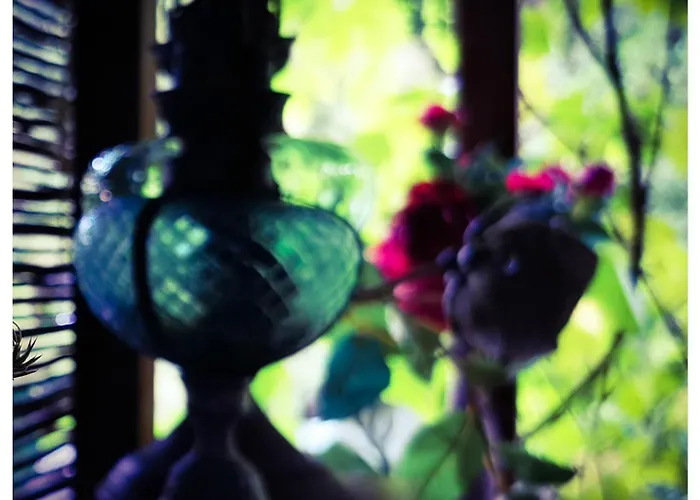 Sans Murs Dans La Nature