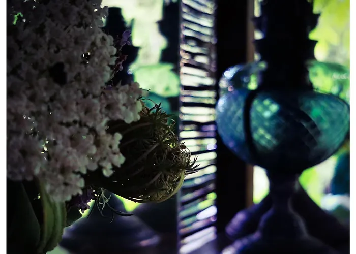 Sans Murs Dans La Nature