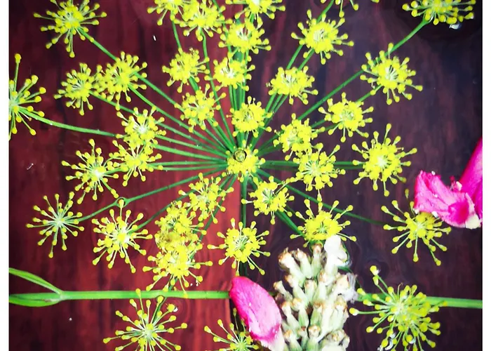 Sans Murs Dans La Nature Hébergement de vacances