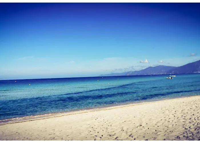 Sans Murs Dans La Nature *