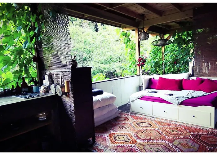 Sans Murs Dans La Nature * San-Martino-di-Lota